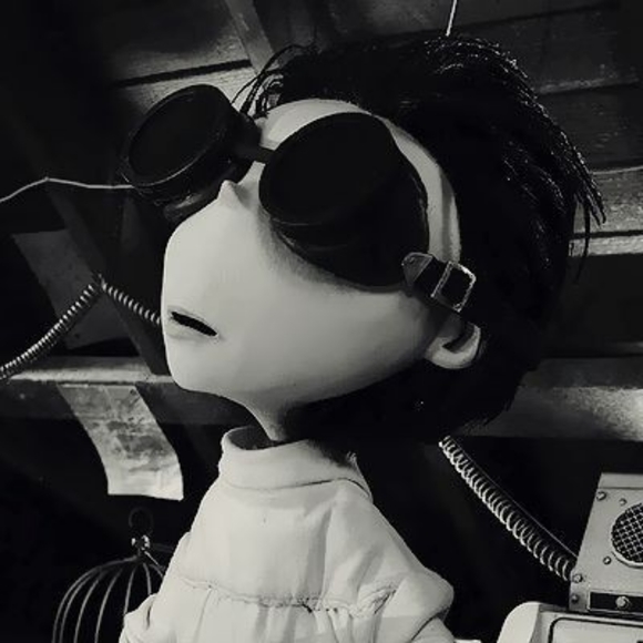 Meet your Posher, Leif - Picture 1 of 1